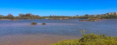 Ghadira natura reserve-Bluetide