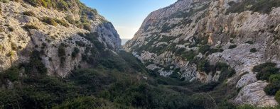 Wied babu - Zurrieq valley-bluetide
