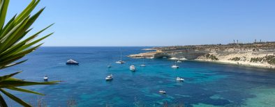 Xrobb l-Għaġin-bluetide