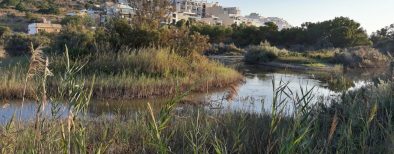 simar nature reserve (1)